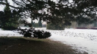 Winter is not letting up, it's freezing even during the day - My Actifit Report Card: January 7, 2026