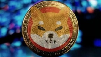 Shiba Burns
