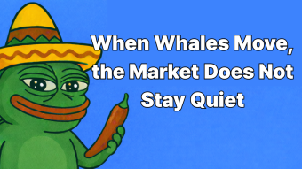When Whales Move, the Market Does Not Stay Quiet