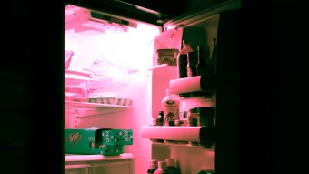 The Fridge: Essential Perishables