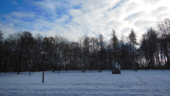 The weather was great, and the birds even better. A walk and a light jog did the trick. It was wonderful