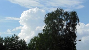 Another beautiful day, but very steamy and stuffy - My Actifit Report Card: June 27 2024