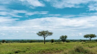 My Dream Life Africa