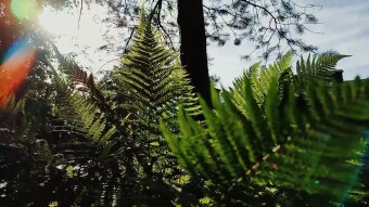Redmi Note 10 Pro camera test