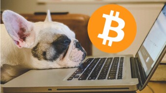 When Bitcoin is Boring; It's the Best Time to Buy!