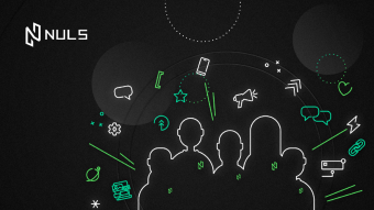 NULS Ambassadors Voting Results of the Third Quarter 2020