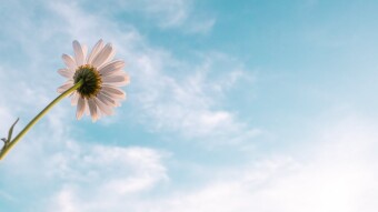 Look Up.