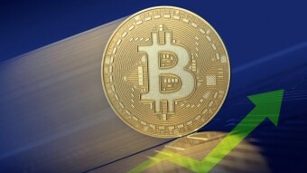 The number of wallets with 1000 BTC may indicate that Bitcoin will soon rise in price