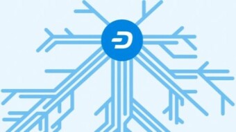 Dash Platform Data Contracts