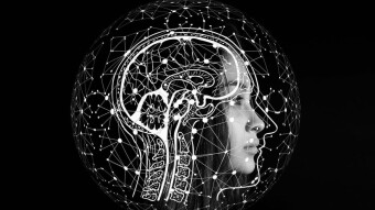 Impressionable Experiences:  Friendship's Evolution:  Realize And Understand