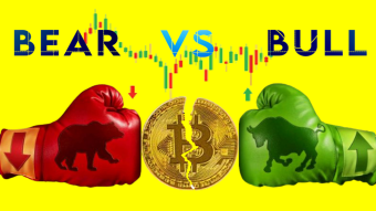 Cryptocurrency market: Bears and bulls, irreconcilable enemies?