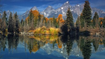 Worldview Schism