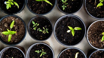 An Objective Look Into Yield Farming: Worth It, Or Modern Bubble