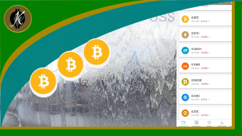 Get a Grip with Crypto As Money, Problems and Issues