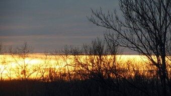 A beautiful warm day and a beautiful sunset on the last day of the year - My Actifit Report Card: December 31 2022