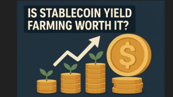 Stablecoin Yield Farming??? Or there are better options? (A Realistic Guide)