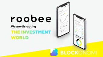 Roobee - Investement for Masses?