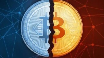 Bitcoin Cash Shines in this year's halving event.