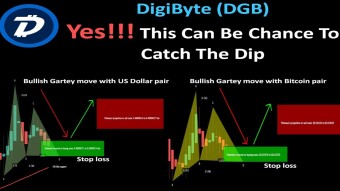 DigiByte (DGB) | Yes!!! This Can Be Chance To Catch The Dip