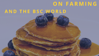 FARMING ON THE BSC CHAIN