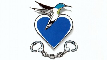 Cultural Indictments From An Expat Songbird