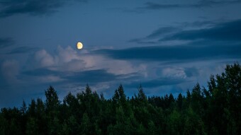 Night-time Musings