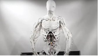 The Robots are Coming!
