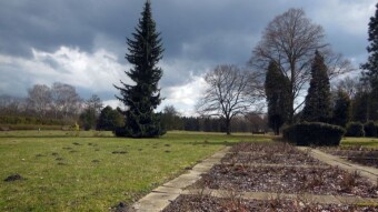 A beautiful spring day, the soul breaks out, but the body does not react - My Actifit Report Card: March 10 2023