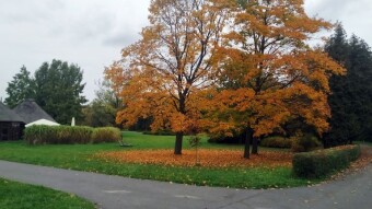 Thursday was a mixed bag, but acceptable - My Actifit Report Card: October 16, 2025
