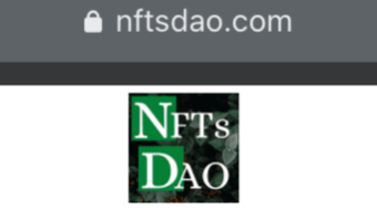 NFTsDAO Newsletter #1