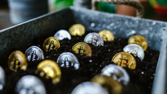 Best rewards for staking your crypto