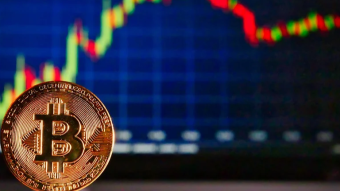Coins in the TOP 100 not sinking with Bitcoin