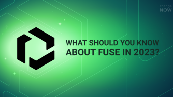 What Should You Know About FUSE in 2023?