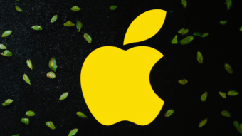 Is Binance A Bad Apple?