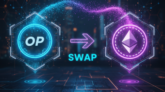 In progress to create my own coin swap website from the best service provider