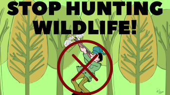 Stop Hunting Wildlife!