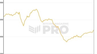 Someone insists that BTC mining companies have been changing to AI companies.