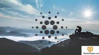 Number of ADA Cardano Addresses Reaches New Historic Record