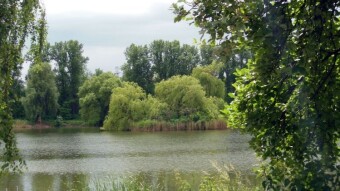 Wednesday will pass, the week will die - the intense walk and escape from the rain again - My Actifit Report Card: May 22 2024
