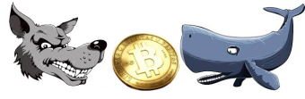 The Perfect Bitcoin Market Storm? follow the WHALES and WOLVES