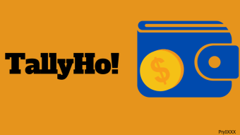 The choice of TallyHo over Metamask as a Web3.0 wallet.