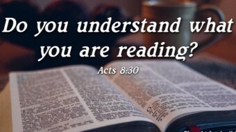 "Do you understand what you are reading?"