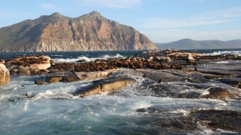 A trip in South Africa: From Backcountry to Metropolis