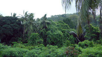 My trip to Malaysia island Tioman