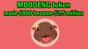 Is MOODENG Just Another Pump and Dump?