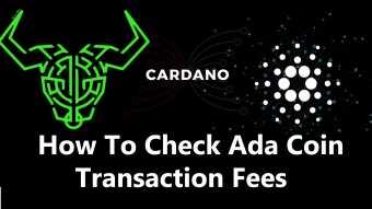 How To Check Ada Coin Transaction Fees