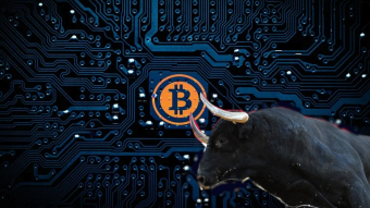 Bitcoin Bull  Run Effects To Altcoins