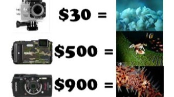 My underwater Pictures with three different camera