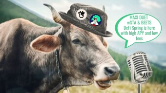 Fantom DeFi #2 - Beefy Fresh Statera Duet