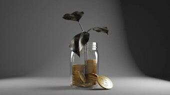 Crypto Trading Update: No Risk, No Gain